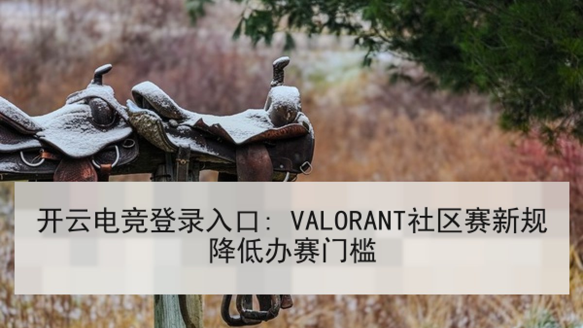 开云电竞登录入口: VALORANT社区赛新规降低办赛门槛