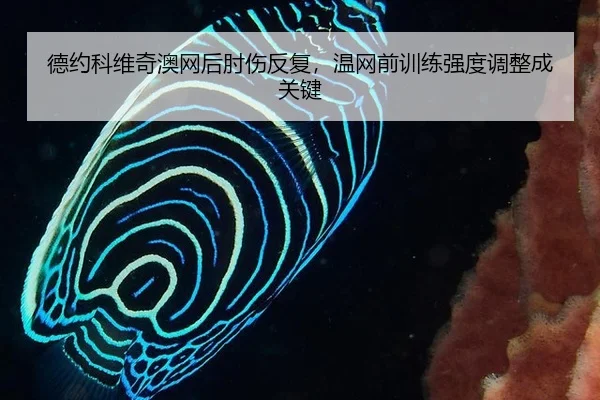 de-yue-ke-wei-qi-ao-wang-hou-zhou-shang-fan-fu-wen-wang-qian-xun-lian-qiang-du-tiao-zheng-cheng-guan-jian-2-812.jpg
