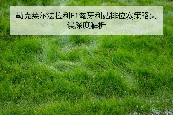 lei-ke-lai-er-fa-la-li-xiong-ya-li-zhan-pai-wei-sai-ce-lve-shi-wu-shen-du-jie-xi-2-473.jpg