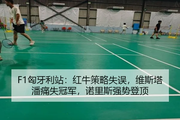 F1匈牙利站：红牛策略失误，维斯塔潘痛失冠军，诺里斯强势登顶