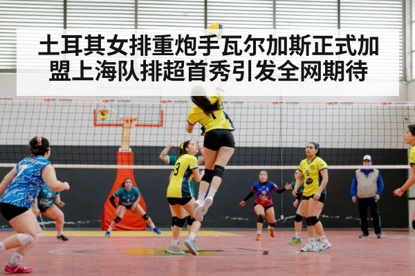 Turkish women volleyball team