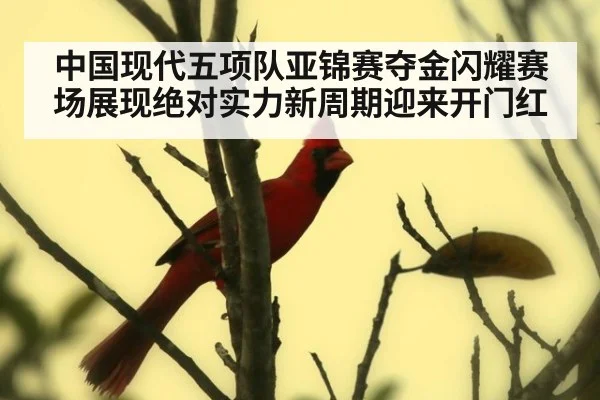 中国现代五项队亚锦赛夺金闪耀赛场展现绝对实力新周期迎来开门红